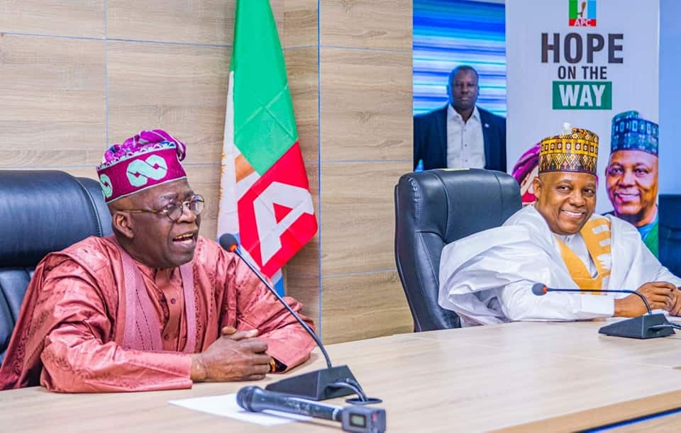 Tinubu Directs Shettima-Led NEC To Work On Palliatives For Subsidy Removal