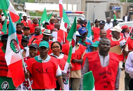 Subsidy: NLC, TUC Appeal Order Stopping Strike