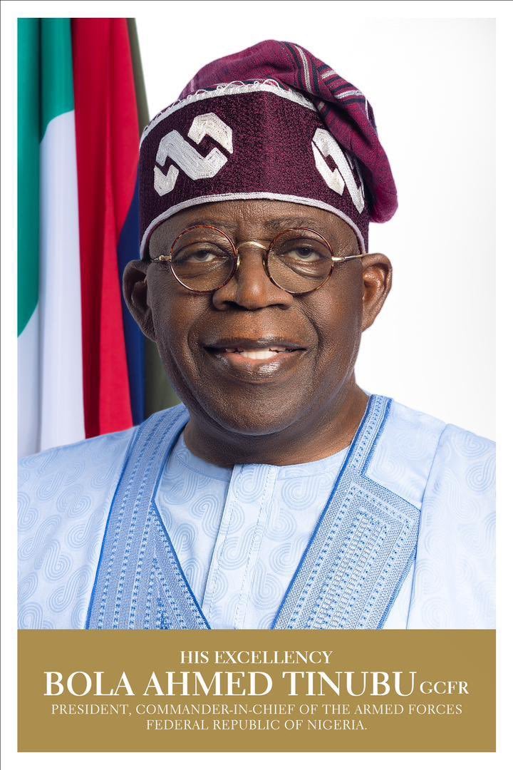 Sit-at-home Orders: Declare State Of Emergency In Southeast – Ohanaeze To Tinubu