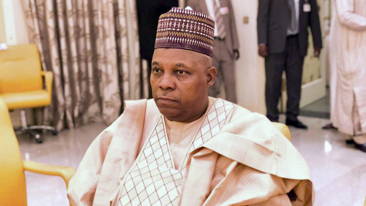 Resuscitating Ajaokuta Steel, ALSCON, Tinubu’s Target Legacies – Shettima