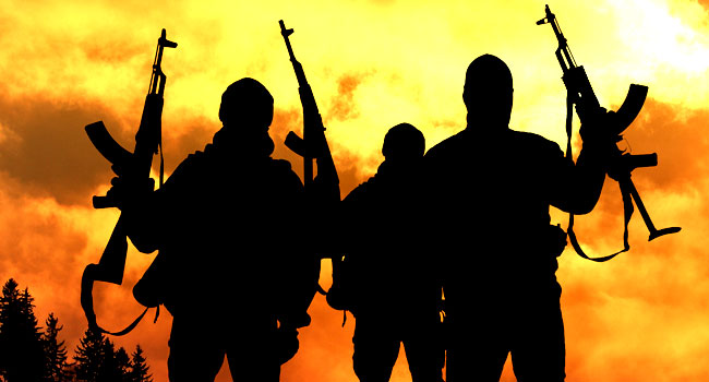 Boko Haram Insurgents Attack Customs Office In Yobe, Kill Operative