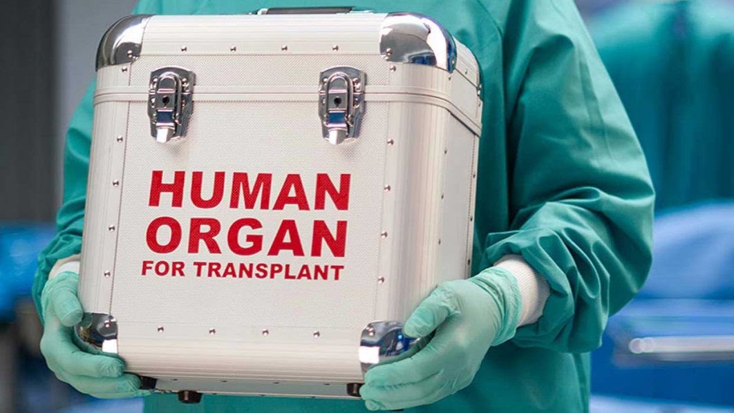 Concerns Mount Over Unregulated ‘Black Market’ Organ Trade In Nigeria