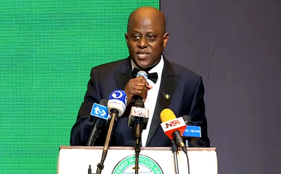 How CBN Strayed From Core Mandate — Cardoso
