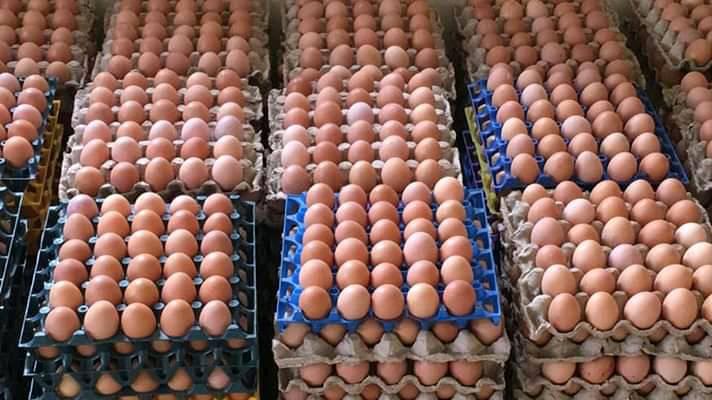 Poultry Farmers Announce New Price For Crates Of Egg
