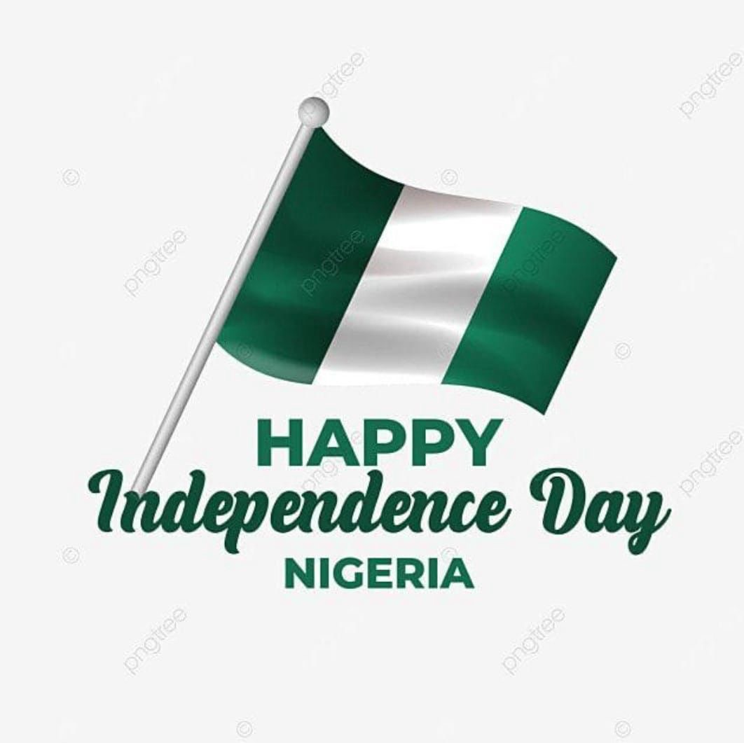 Believe In The Steady Progress Of Nigerian Sovereignty – Engr. Adeyemi