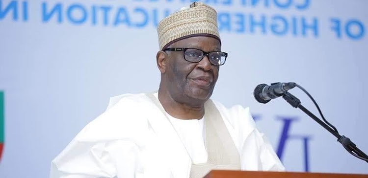 Gambari: How I Rose From Village Primary School To President Of UN Security Council
