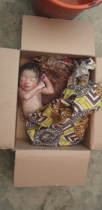 Kano: Newborn Baby Found Dead In Abandoned Carton