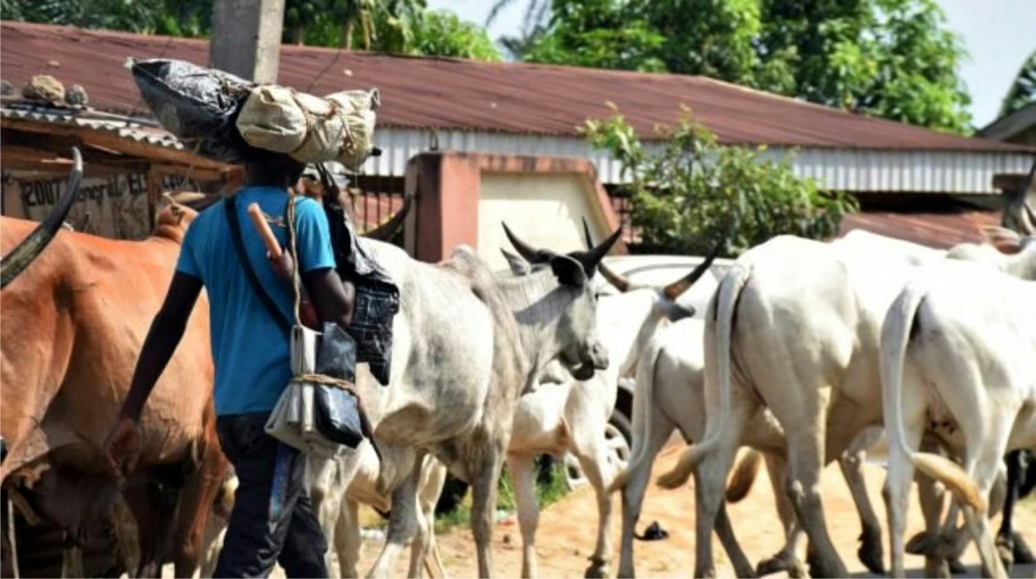 Tension In Makurdi As Angry Youths Chase Away Rep’s Cows, Fulani Herders